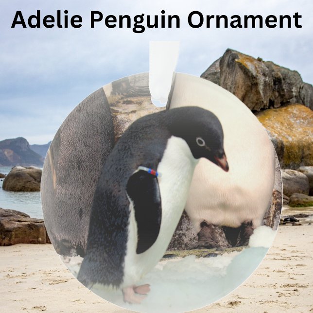 Adelie Penguin - Ornamento acrílico (Subido por el creador)