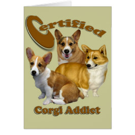 Adicto certificado de Corgi