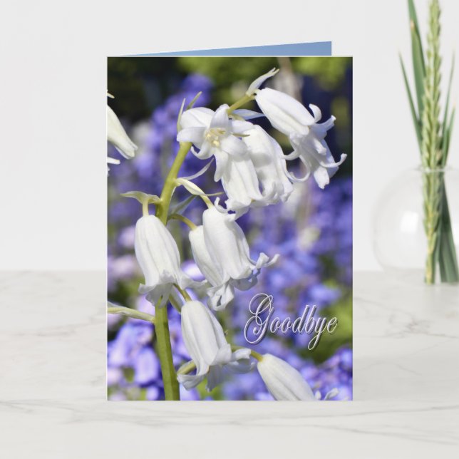 Adiós, tarjeta de condolencia (Anverso)