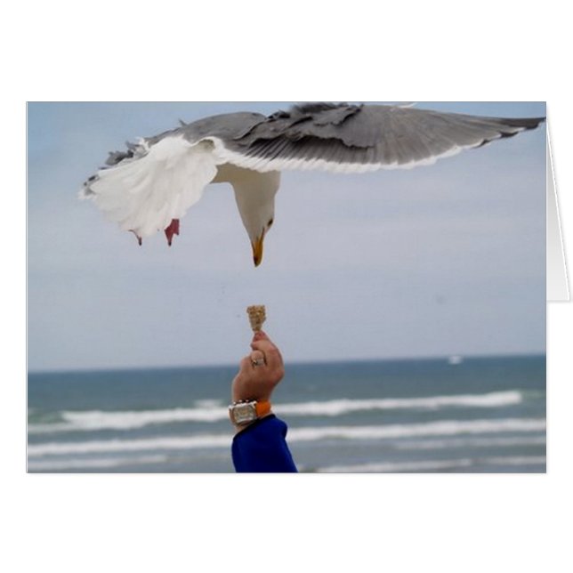 Adivina Quién Va A Cenar (Anverso (Horizontal))