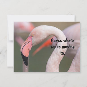 ADIVINAR DÓNDE SE UTILIZA LA TARJETA DE REUBICACIÓ