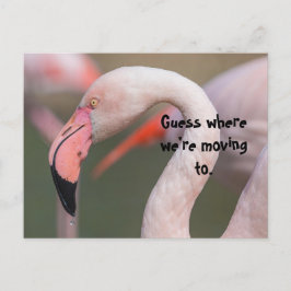 ADIVINAR DÓNDE SE UTILIZA LA TARJETA DE REUBICACIÓ