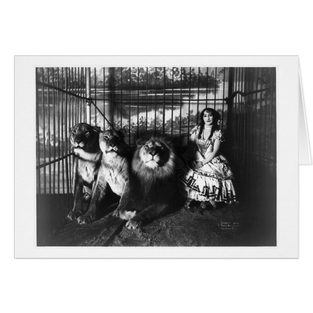 Adjie y los leones 1899 (Anverso (Horizontal))