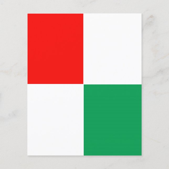 ADJUSTABLE Red, White & Green Flyer (Atrás)