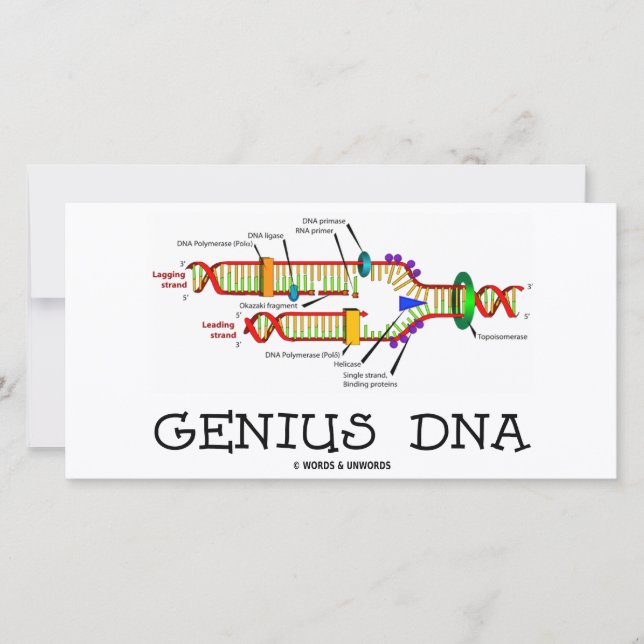 ADN genius (Humor de replicación de ADN) (Anverso)