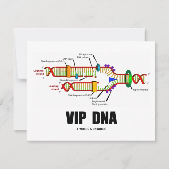 ADN VIP (Humor de replicación de ADN) (Anverso)