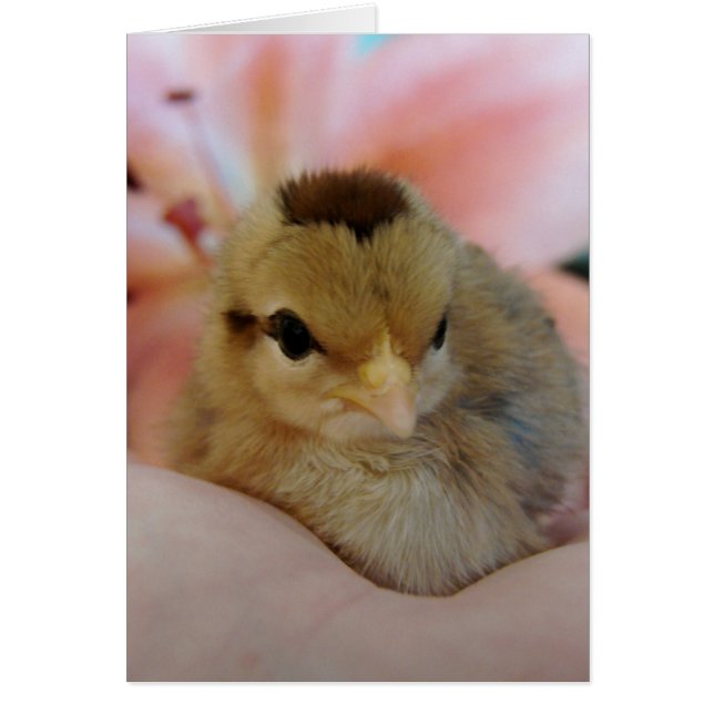 Adolescente en mi mano (Frente)