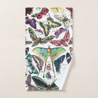 Adolphe Millot "Mariposas" 3.