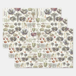 Adolphe Millot Patrón Vegetable Papel de envolvimi