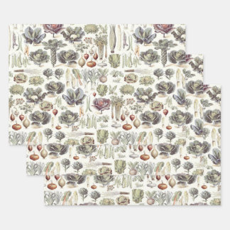 Adolphe Millot Patrón Vegetable Papel de envolvimi