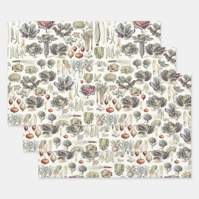 Adolphe Millot Patrón Vegetable Papel de envolvimi (Set)