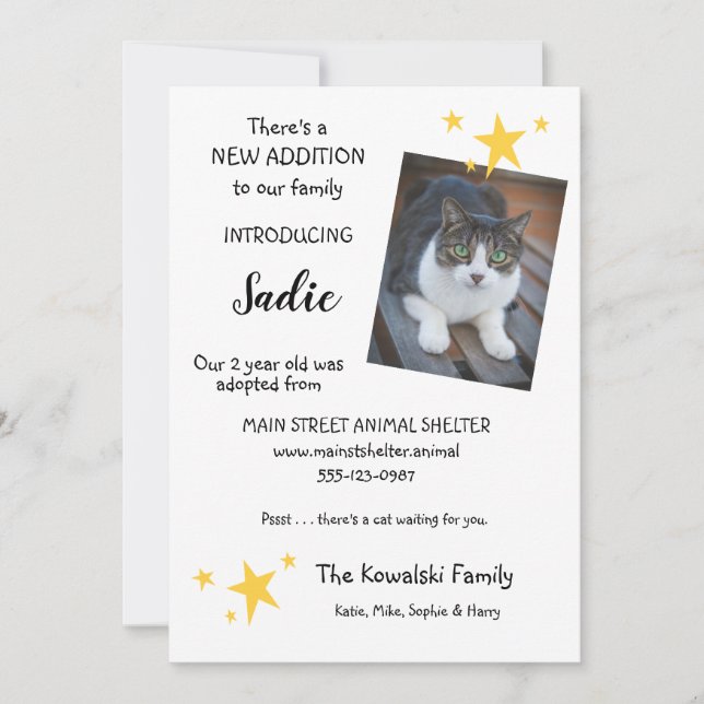 Adopción de gato mascota Nueva tarjeta plana de In (Anverso)