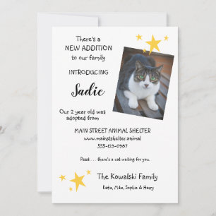 Adopción de gato mascota Nueva tarjeta plana de In