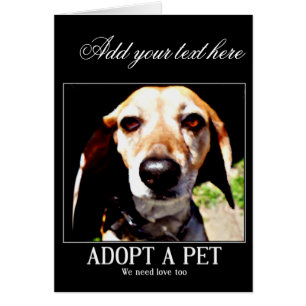 Adopta apeta, necesitamos amor también.