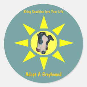 Adopta Un Sol Gris En Tu Pegatina De Vida