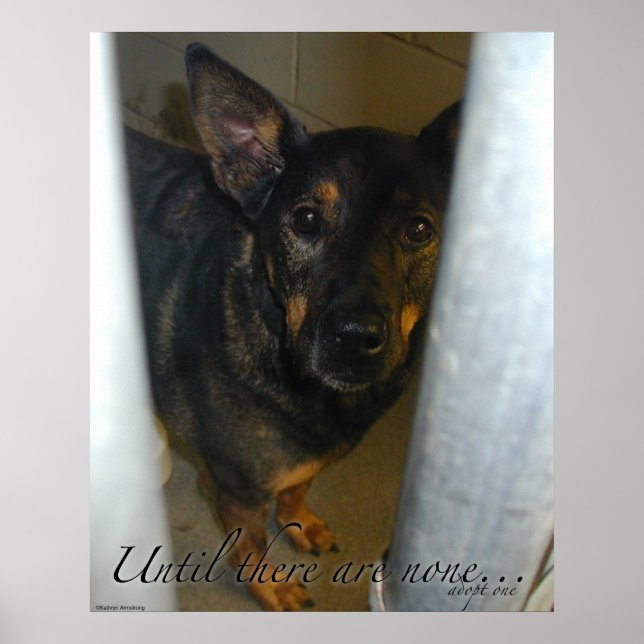 ¡Adopta Uno! Póster (Frente)