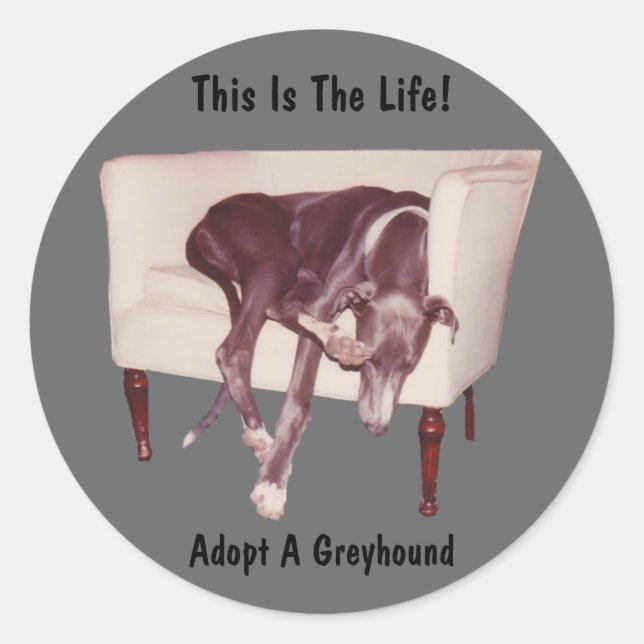 Adoptar Un Greyhound Este Es El Pegatina De La Vid (Anverso)