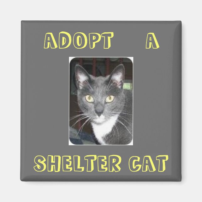 Adoptar Un Imán Gato (Frente)