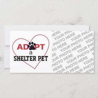 Adoptar un Mascota de refugio