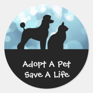 Adoptar Un Pegatina Mascota