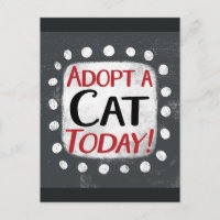 Adoptar una postal de hoy para un gato
