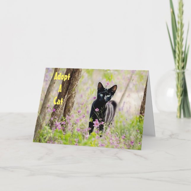 Adoptar una tarjeta PSA para gatos de protección a (Anverso)