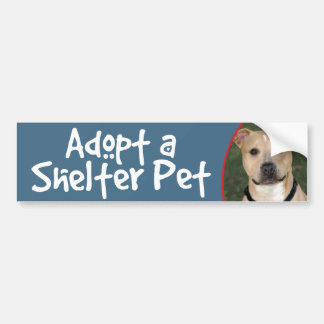 Adopte a un mascota del refugio - etiqueta de la