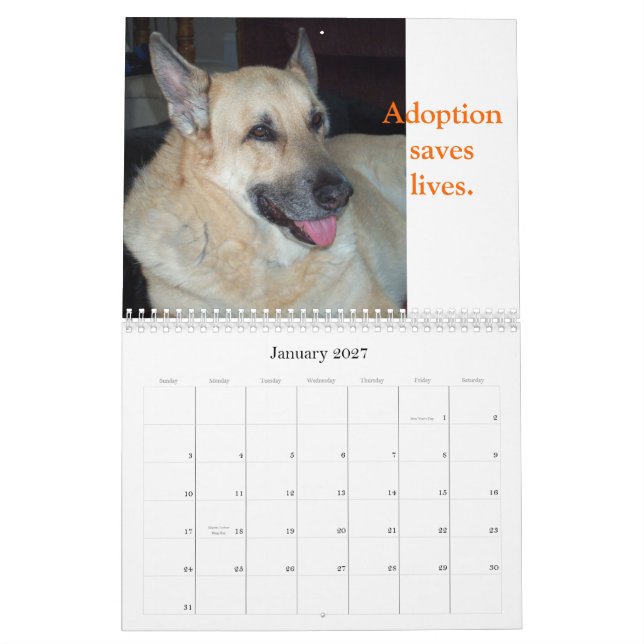 Adopte un calendario del animal del refugio (Jan 2027)