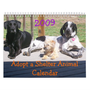 Adopte un calendario del animal del refugio