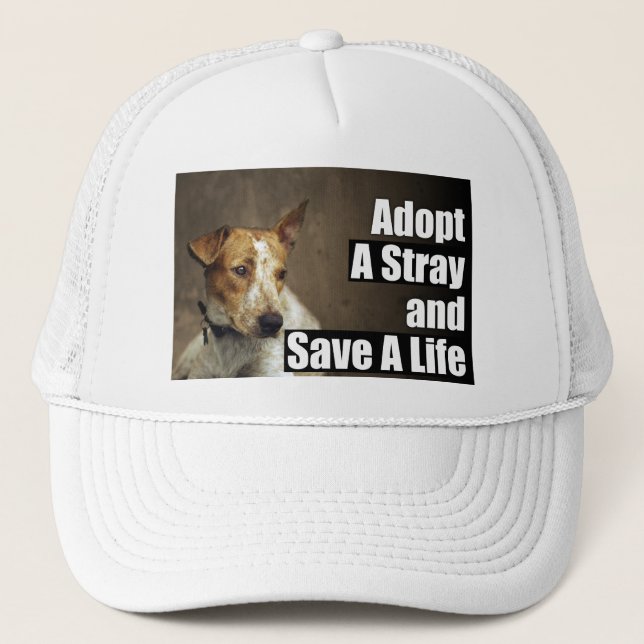 Adopte un gorra perdido (Anverso)