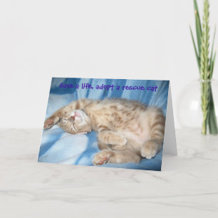 Adopte una tarjeta de felicitación del gato del