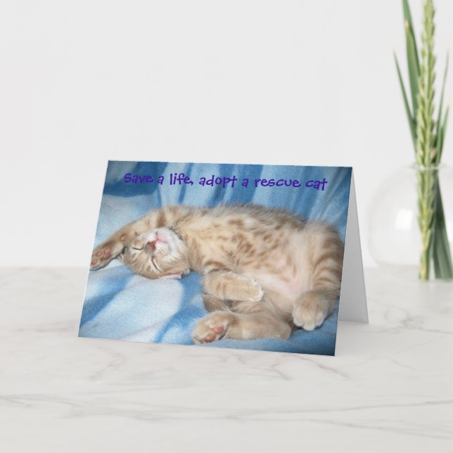 Adopte una tarjeta de felicitación del gato del (Anverso)