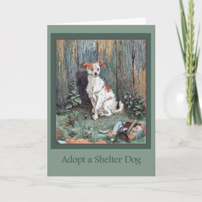 Adopte una tarjeta del perro del refugio (Anverso)