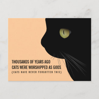 Adoraban a los gatos como divertida postal