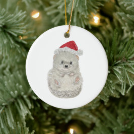 Adorable acuarela Hedgehog Ornamento de Navidad