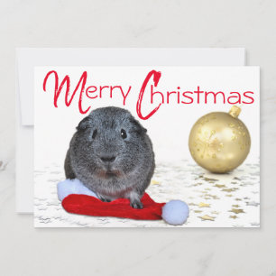Adorable Adorno de Navidad en Oro de Conejillo de