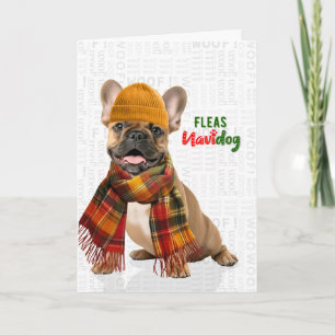 Adorable Bulldog Francés Pulgas Navidog Navidad