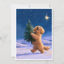 Adorable cachorro divertido con árbol de Navidad f