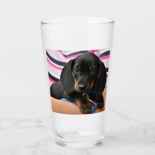 adorable dachshund