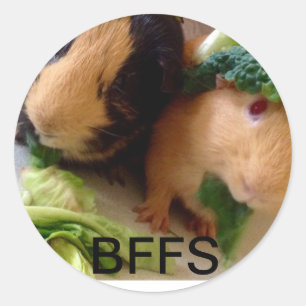 Adorable Guinea Cerdos Pegatinas BFF