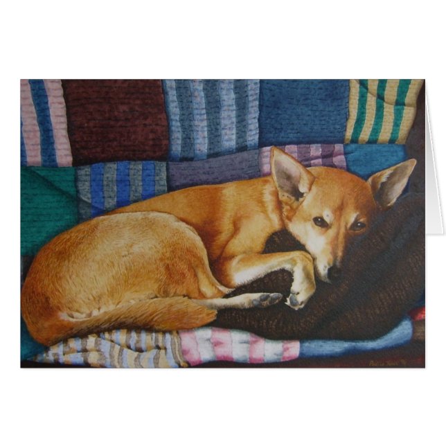 adorable pastor alemán labrador perro durmiendo (Anverso (Horizontal))