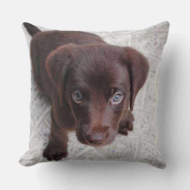 Adorable perrito marrón arrojar almohada (Anverso)