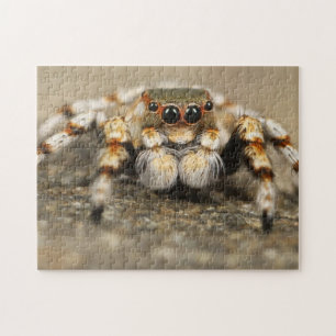 Adorable rompecabezas de fotografía araña
