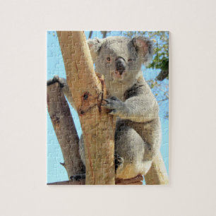 Adorable rompecabezas de Koala - Vida salvaje aust