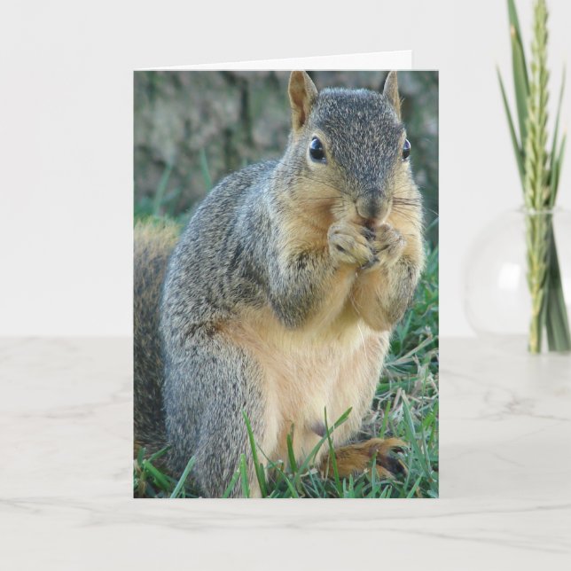 Adorable Squirrel Todas las Ocasiones Tarjeta De S (Anverso)
