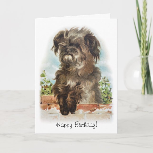 Adorable tarjeta de cumpleaños para perro (Anverso)