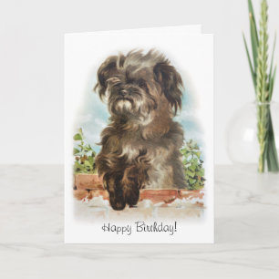 Adorable tarjeta de cumpleaños para perro