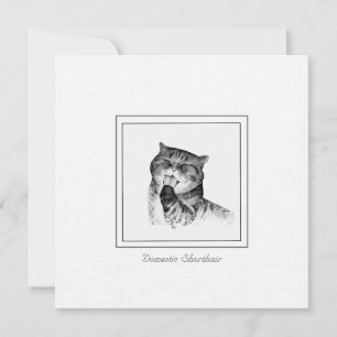 Adorable Tarjeta De Nota Esbozada Para Gato De Cor