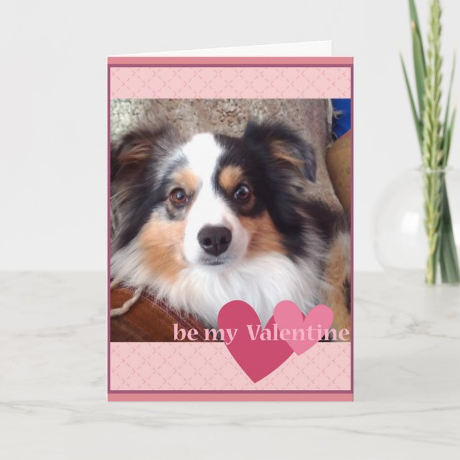 adorable tarjeta de San Valentín del pastor austra (Anverso)