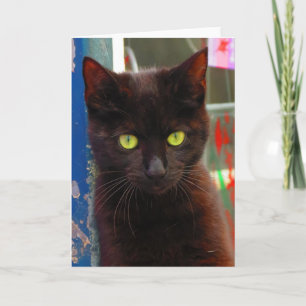 Adorable tarjeta para gato negro